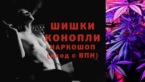 стаф Богданович