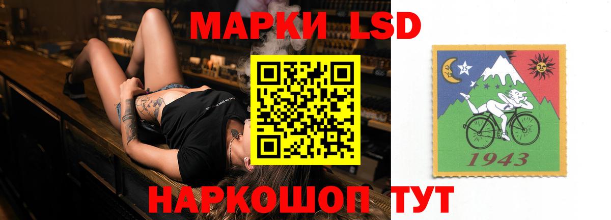 APVP Ярославль
