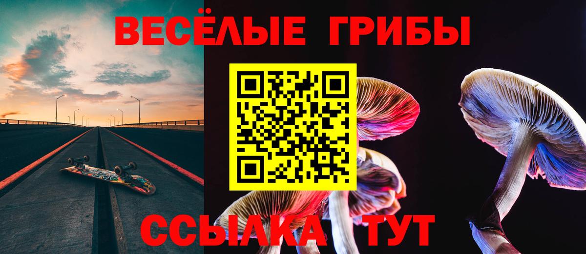 Псилоцибиновые грибы GOLDEN TEACHER  Вход с VPN  Ярославль 